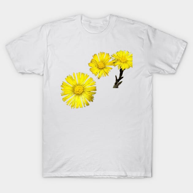 Spring flowers T-Shirt by Riksr4ks